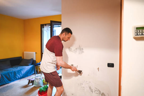 Best Post-Flood Mold Remediation in Cumberland, KY